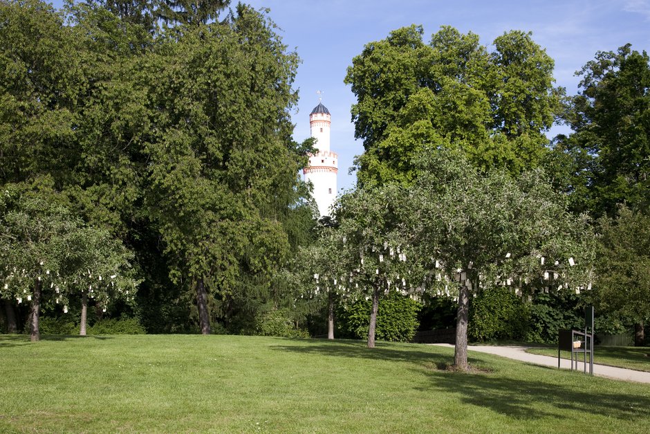 Wish Trees for Bad Homburg