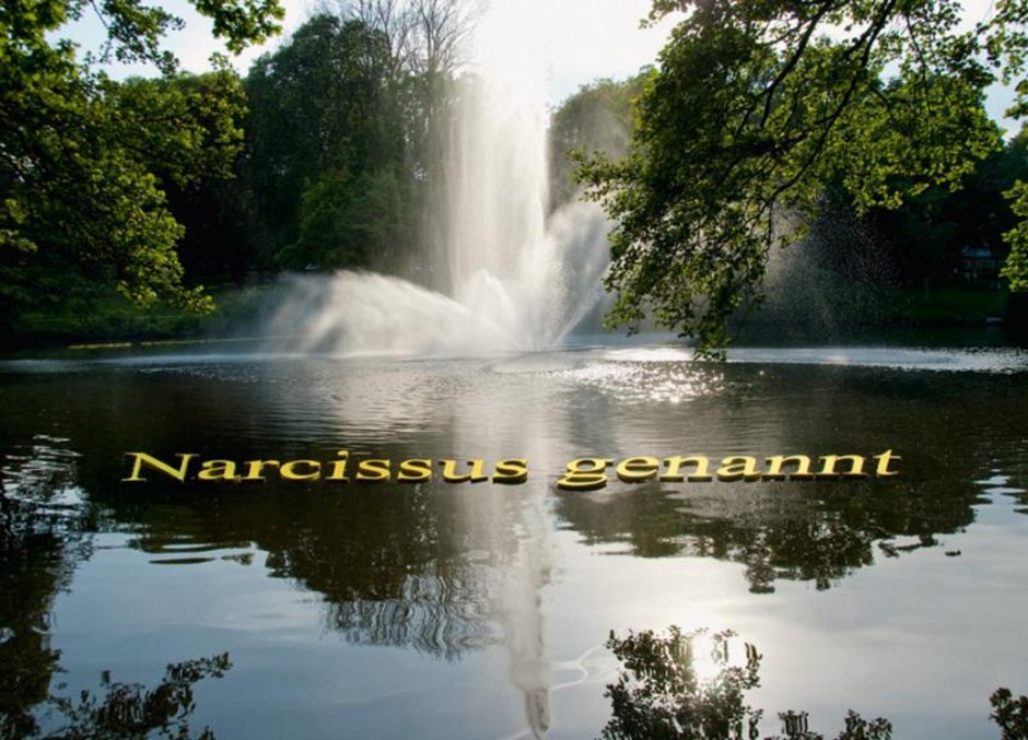 Textfragmente aus den Metamorphosen von Ovid "Echo und Narcissus"