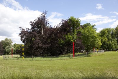 Kush Yard Totem, Octavian Graphic Score 1