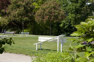 Modified Social Bench #07