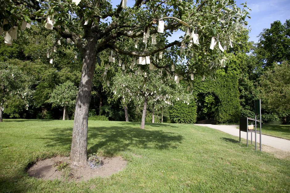 Wish Trees for Bad Homburg
