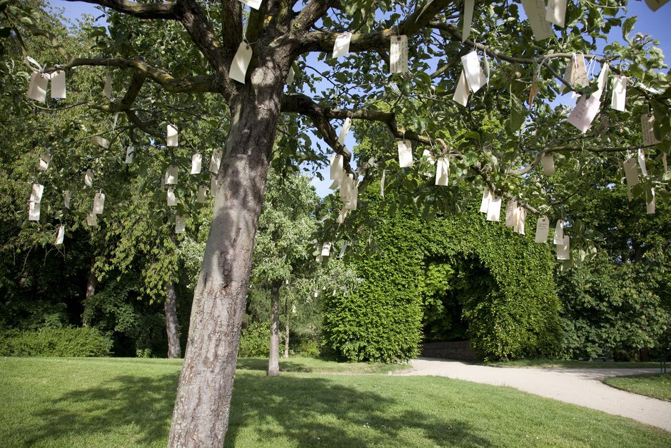 Wish Trees for Bad Homburg