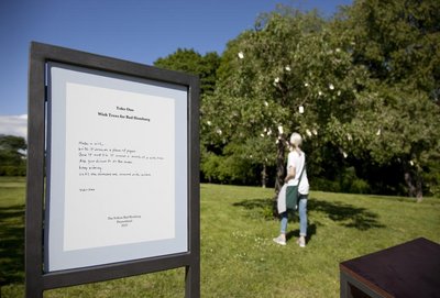 Wish Trees for Bad Homburg