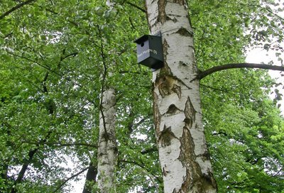 Bestimmungsbuch für Westeuropa (Bad Homburg)