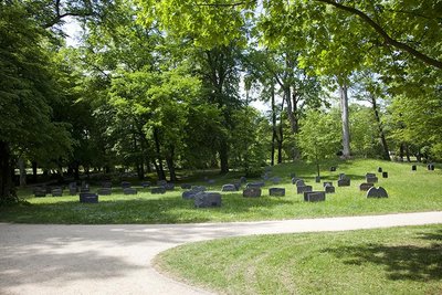 IROM ETRA ORP TSE MUROCED TE ECLUD