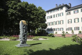 Unkraut vergeht nicht