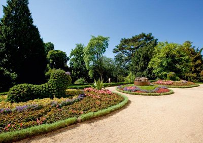 The Lion and the Mouse