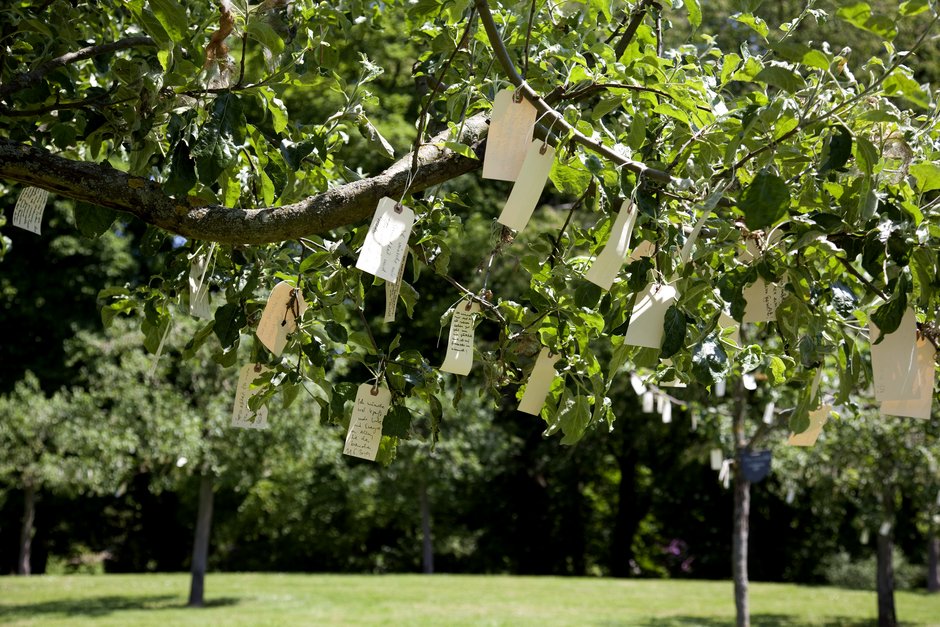 Wish Trees for Bad Homburg