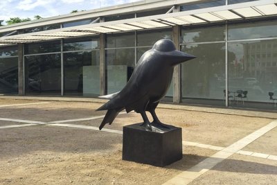 Die Krähe / The Crow (sitzend)