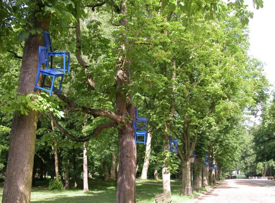 Would you like to come along?