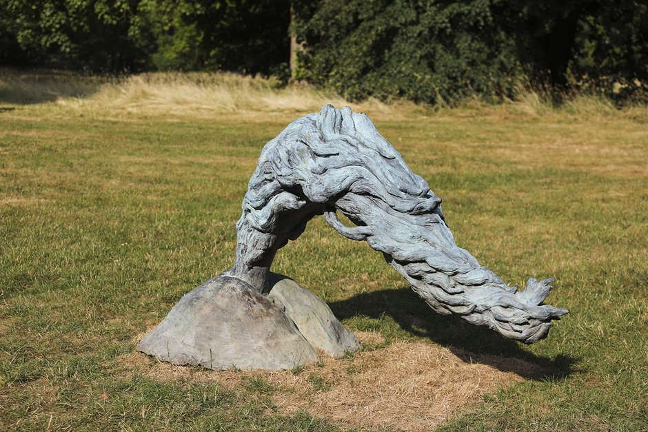 Natural History of Colonization