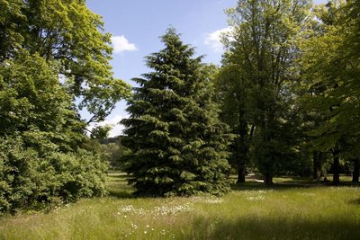 There’s No Place Called Home (Bad Homburg)