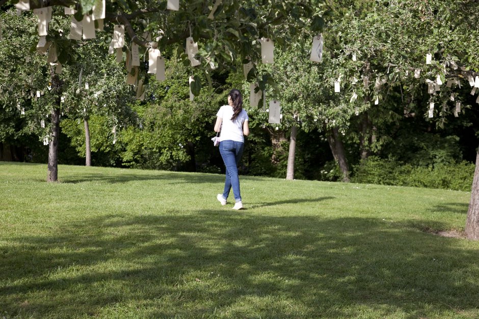 Wish Trees for Bad Homburg