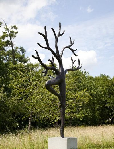 Daphne, vergeten herinnering